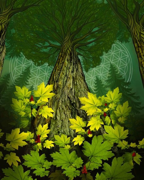 Canopy Keeper —The Mood